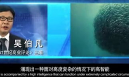 pans 内部视频,揭秘神秘视频背后的奥秘