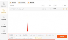 视频转换成文字,一窥视频转换文字的魅力