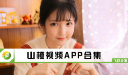 久色在线视频,揭秘网络色情内容的隐秘世界