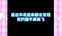 夜间小视频,揭秘夜间小视频的魅力