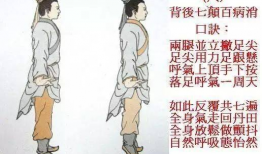 八段锦视频完整版,养生保健操，轻松入门教程