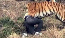 四虎免费视频,带你领略影视盛宴