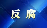 一区视频,精彩瞬间回顾