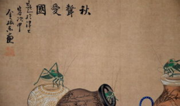 欧美牲交视频,真实性与伦理争议并存