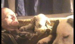 做爱视频在线看,揭秘网络做爱视频的诱惑与风险