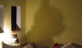 被窝福利视频,温馨瞬间，治愈你的日常疲惫