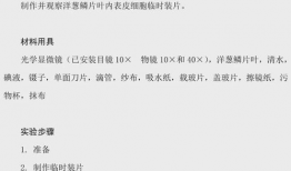 中考生物实验操作视频