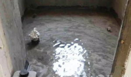 卫生间防水施工视频,视频教程深度解读