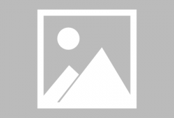 九节鞭教学视频,掌握传统武术精髓的实战指南