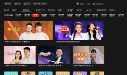 央视视频直播,带你领略时事风云