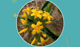 草碰视频,捕捉生活瞬间，展现人间真情